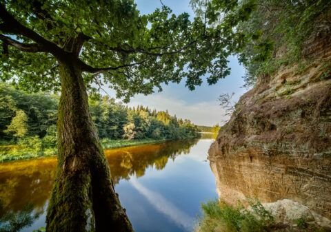 Plostošana Gaujas augšdaļā