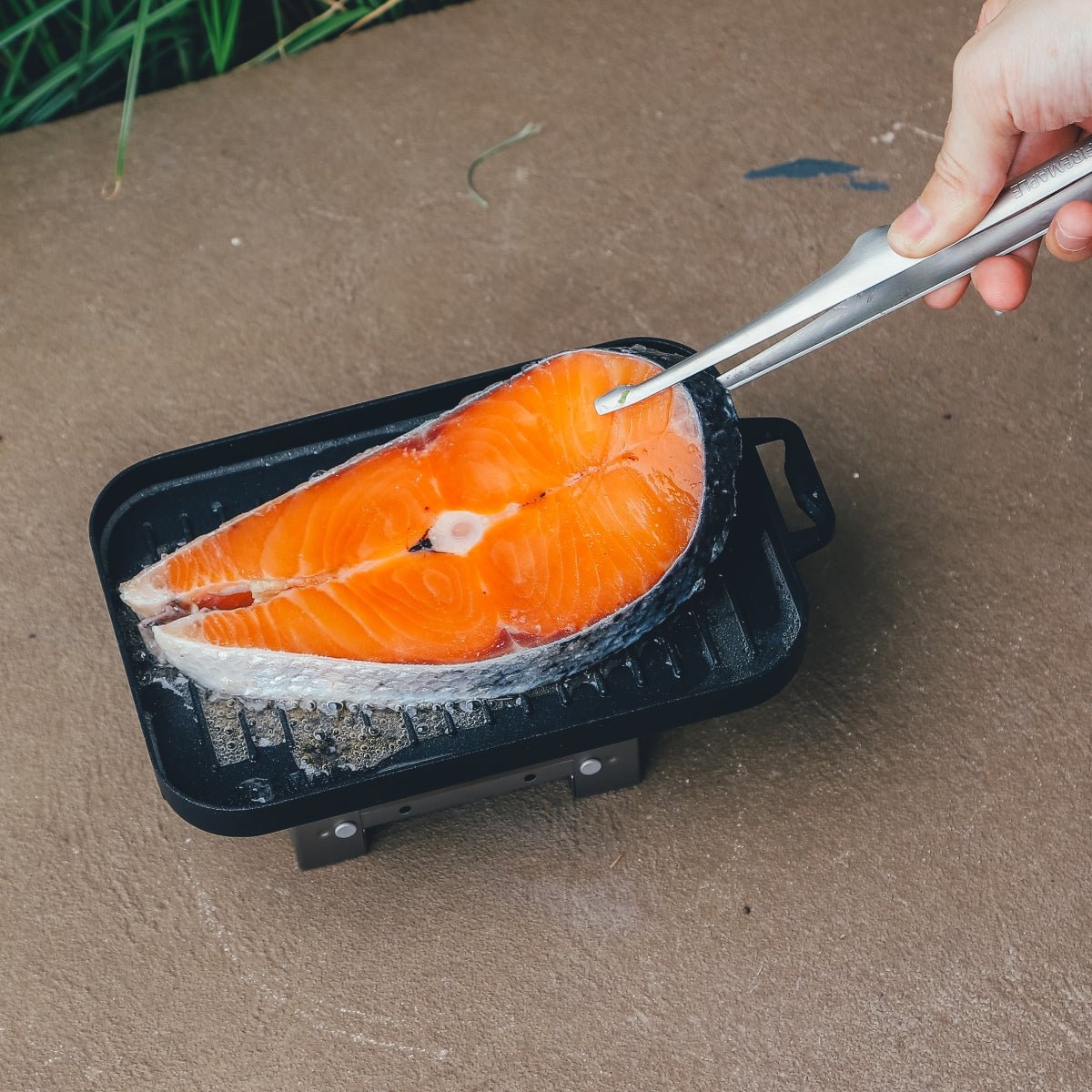 sunflower-grill-plate-839416